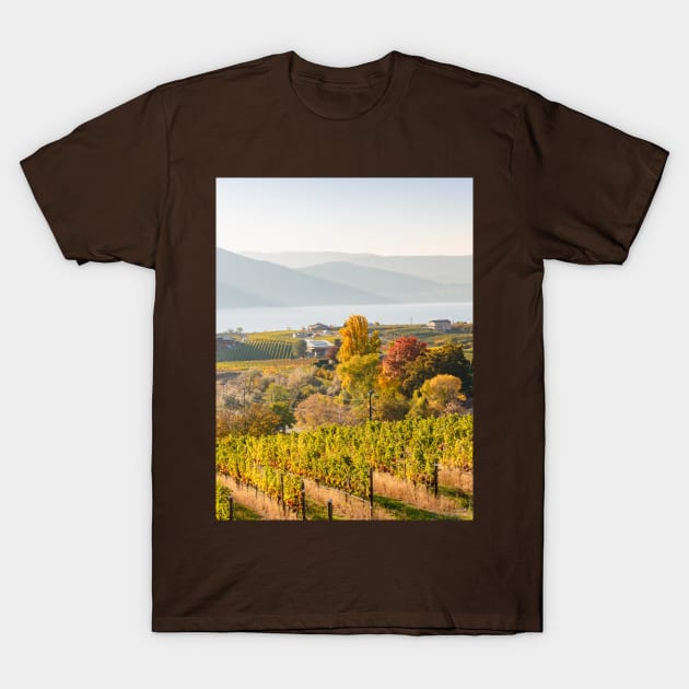 Okanagan Valley Vineyards in October T-Shirt by Amy-K-Mitchell